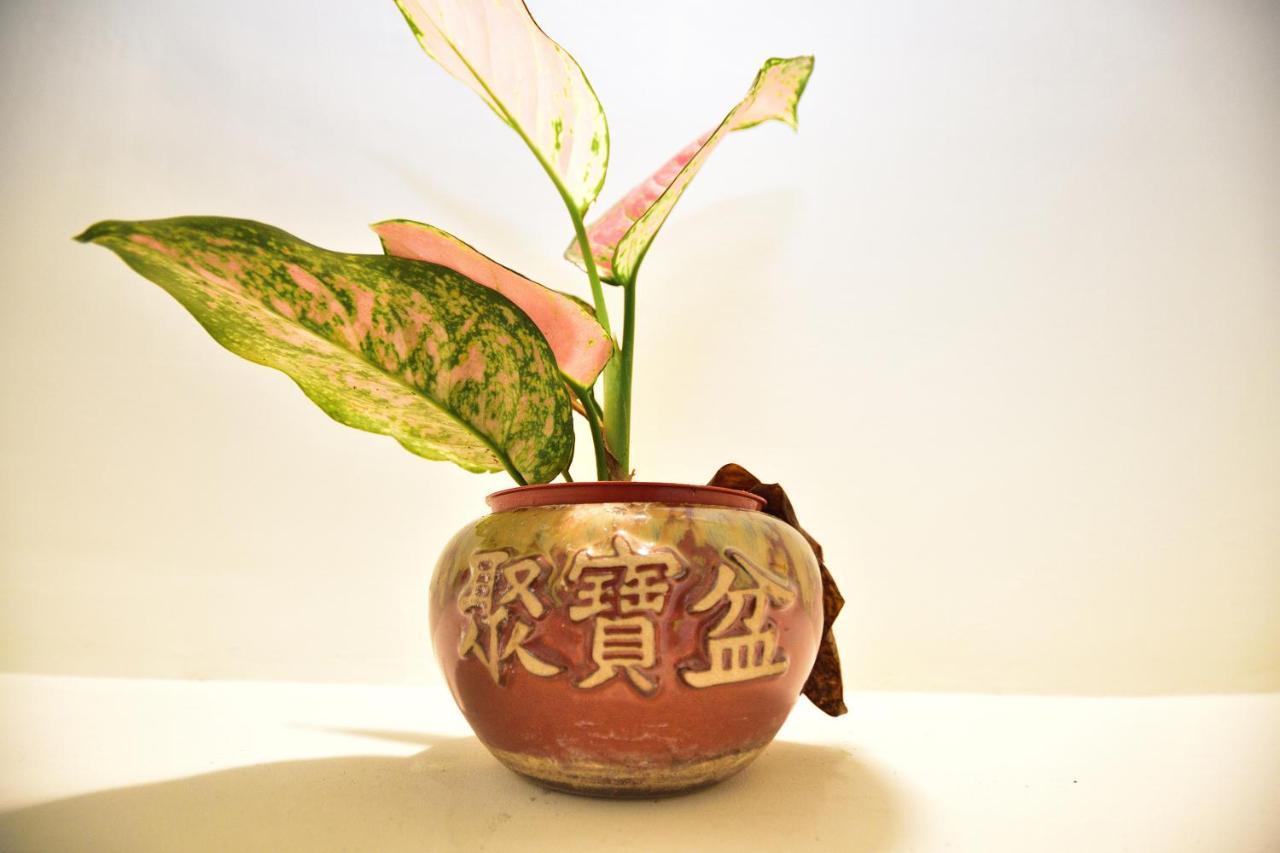 Fengru B&B T'ai-tung エクステリア 写真